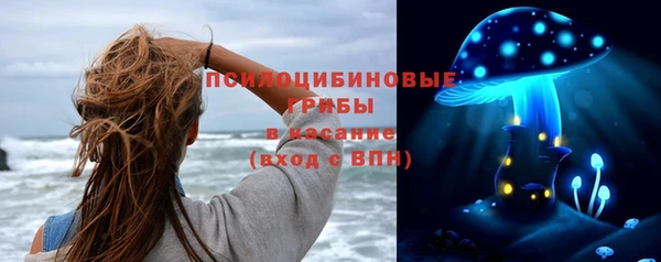 бошки Козловка
