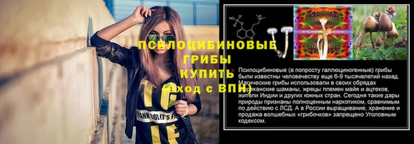 бошки Козловка